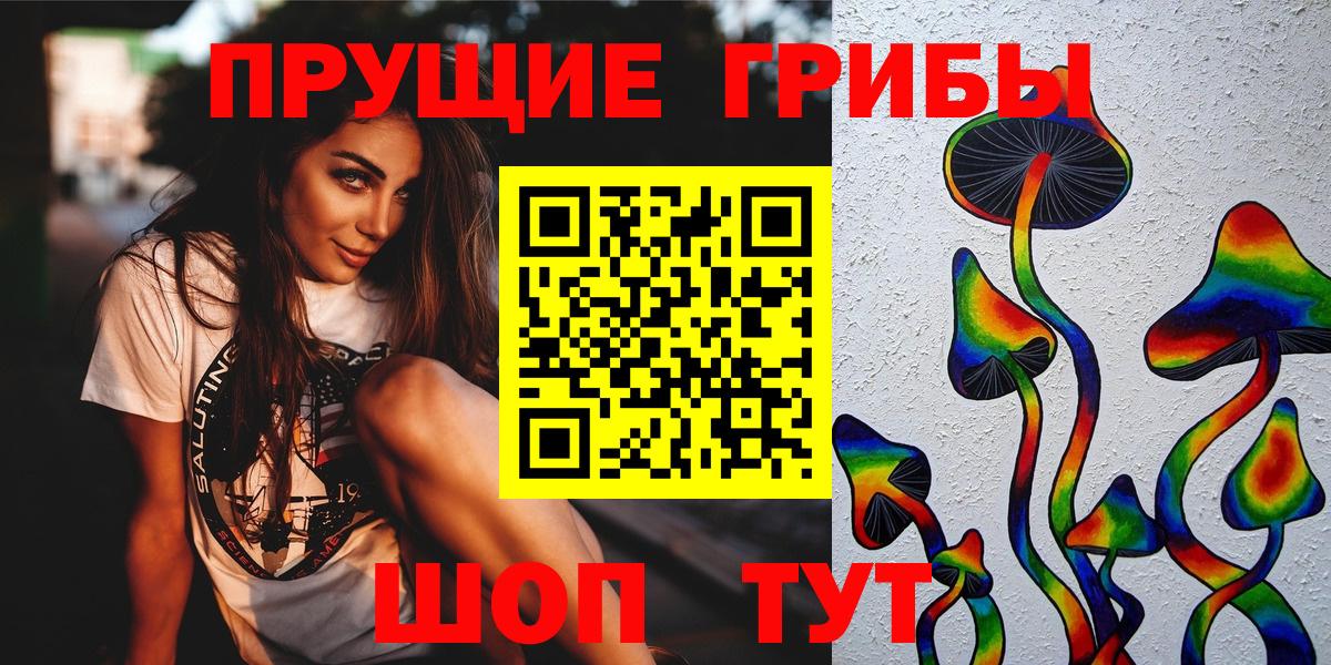 Галлюциногенные грибы Cubensis Красноярск