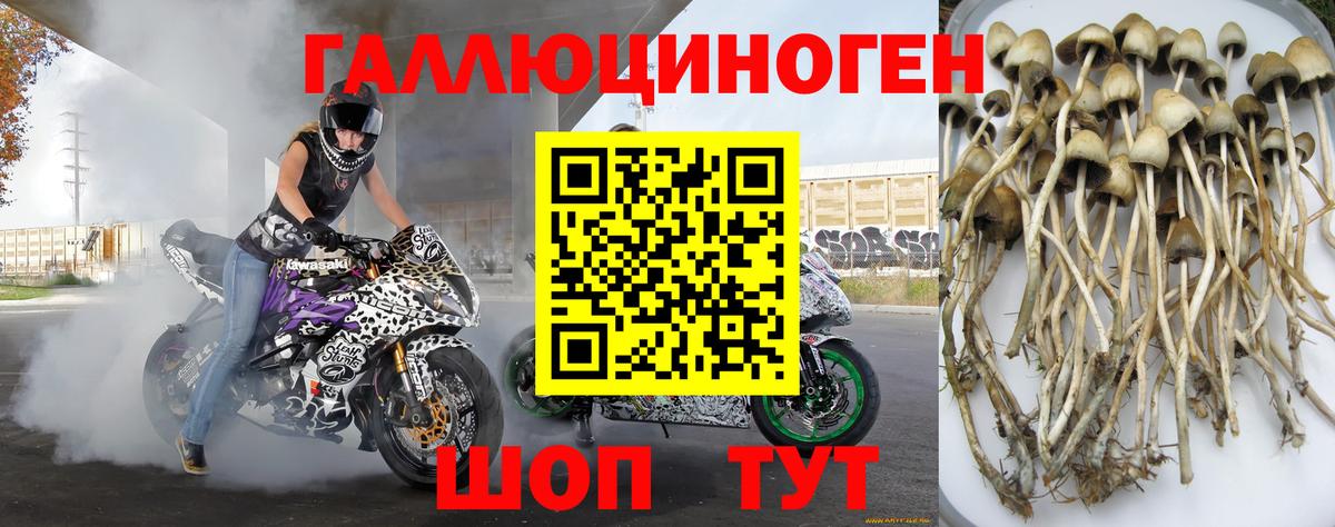 Красноярск  Псилоцибиновые грибы прущие грибы  Вход с VPN  Псилоцибиновые грибы Magic Shrooms 