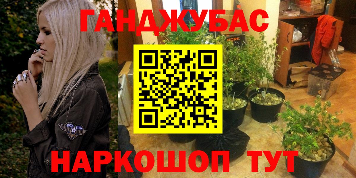 Бошки Шишки планчик Красноярск